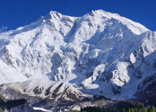 Nanga Parbat Expedition (8126m)