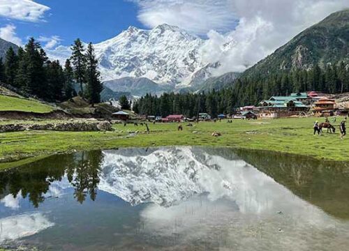 K2 and Gondogoro La Trek Pakistan 2026 Cost & Best Time to Go