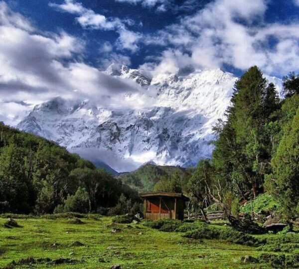 Fairy Meadows Trek