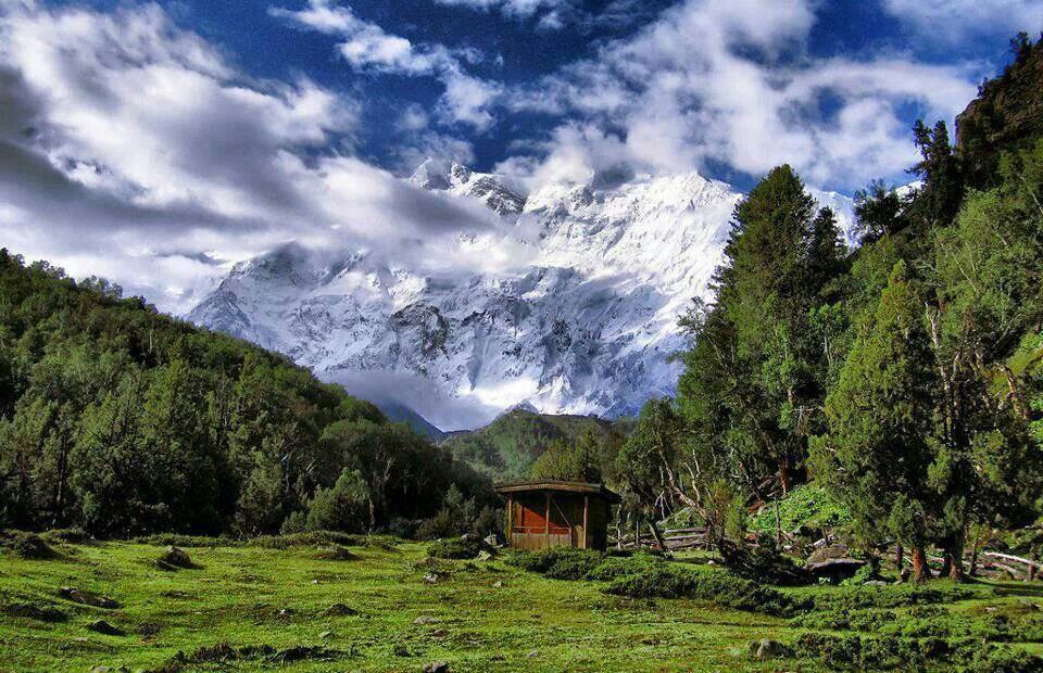 Fairy Meadows Trek