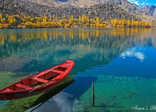 Fairy Meadows Trek – Ultimate Guide to Pakistan’s Most Scenic Hike
