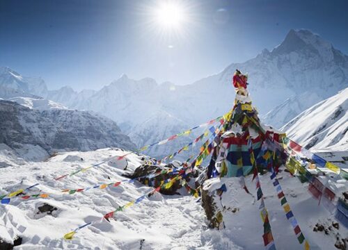 Rakaposhi Base Camp Hunza Valley Trek Travel Guide & Advice