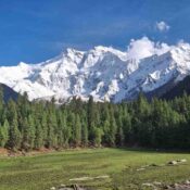 Around Nanga Parbat Treak