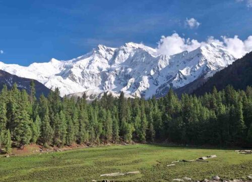 Around Nanga Parbat Trek Pakistan : The Killer Mountain Valleys