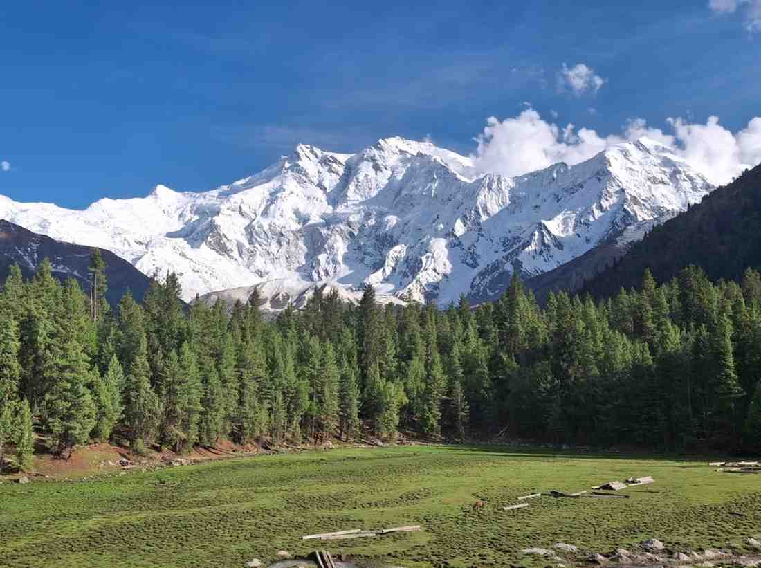 Around Nanga Parbat Treak