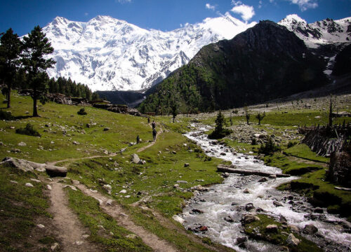 Gasherbrum Expedition in Pakistan | High-Altitude Adventure 2026