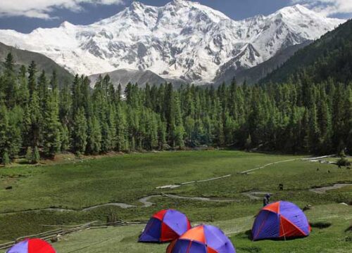 Nanga Parbat Trek Guide 2026: Routes, Prices & Best Time to Visit