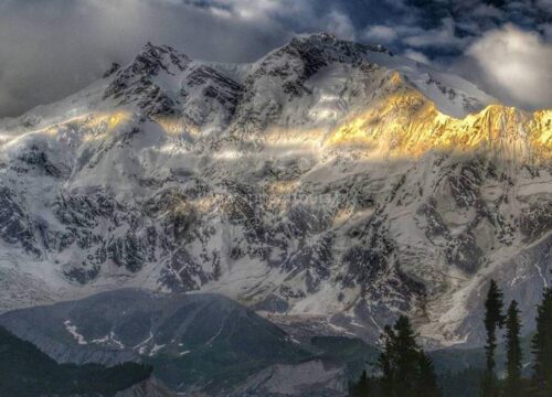 Nanga Parbat Trek 2026: Complete Guide, Route Details, Cost