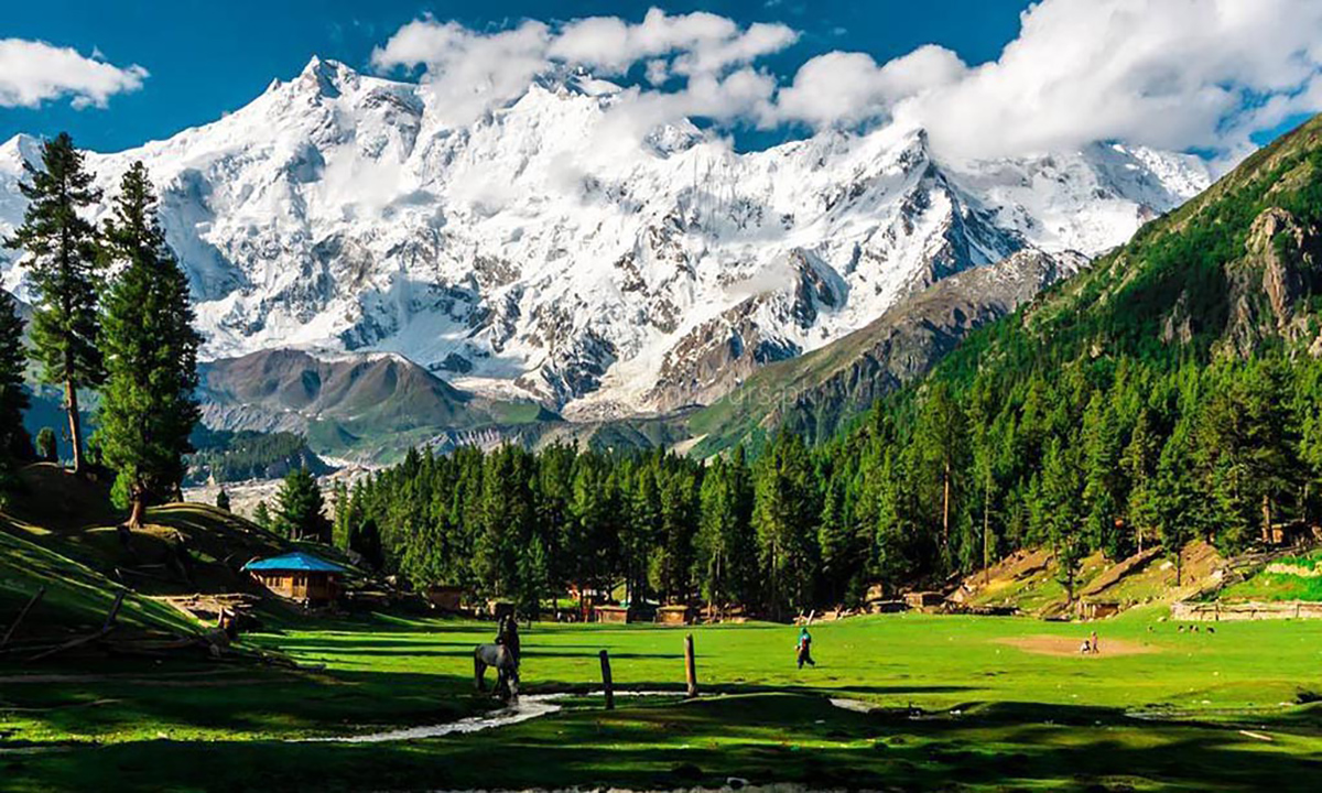 Nanga Parbat Trek 2026