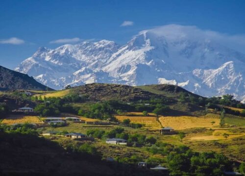 Tirich Mir Base Camp Trek Pakistan Cost & Travel Guide 2026